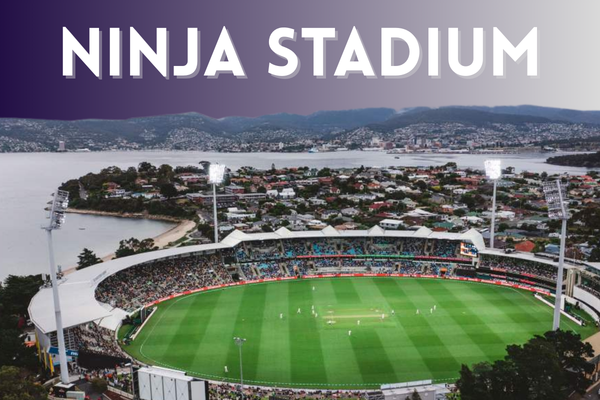 Ninja Stadium